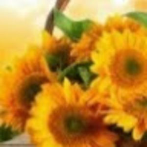 Meet your Posher, Martha